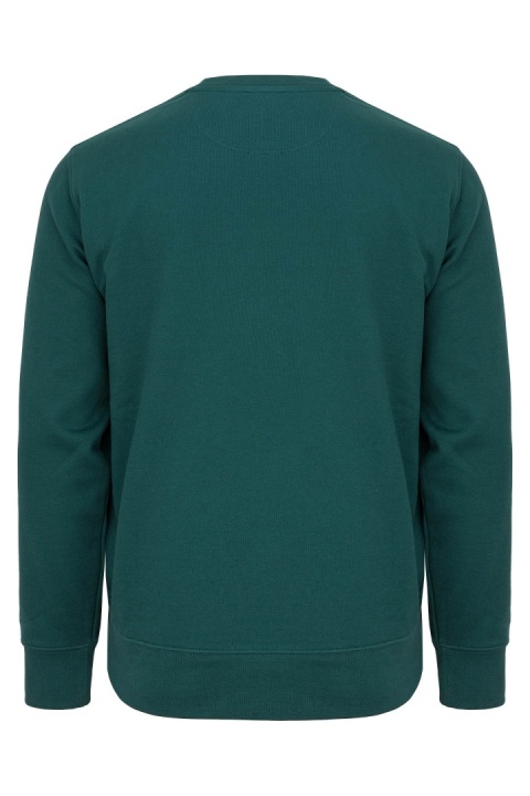 Bluza klasyczna – zielona